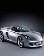 pic for Carrera GT